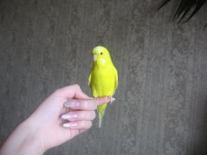 blog-25629-1269959186_thumb.jpg
