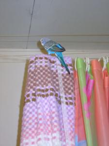 blog-25629-1269960050_thumb.jpg