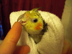 blog-25891-1264503741_thumb.jpg