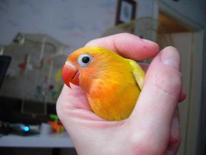 blog-25891-1268253043_thumb.jpg