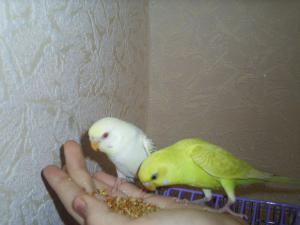blog-26486-1266437428_thumb.jpg