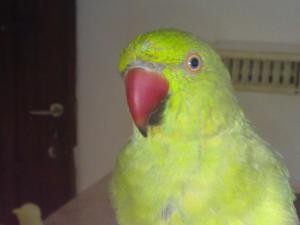 blog-27925-1283753481_thumb.jpg