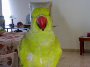 blog-27925-1283754220_thumb.jpg