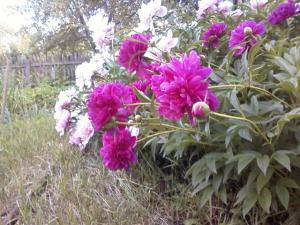 blog-28300-1288455687_thumb.jpg