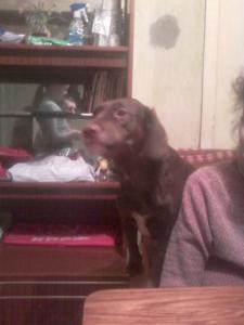 blog-28300-1295260457_thumb.jpg
