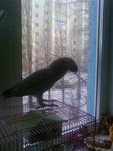 blog-28300-1295261150_thumb.jpg