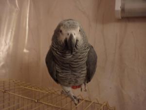 blog-28300-1295811094_thumb.jpg