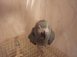 blog-28300-1295811142_thumb.jpg