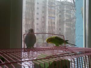 blog-28300-1295899844_thumb.jpg