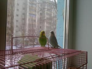 blog-28300-1295899870_thumb.jpg