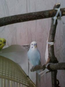 blog-28300-1297611605_thumb.jpg