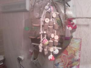blog-28300-1297611775_thumb.jpg