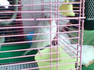 blog-28300-1298321126_thumb.jpg