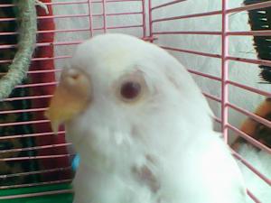 blog-28300-1298321393_thumb.jpg