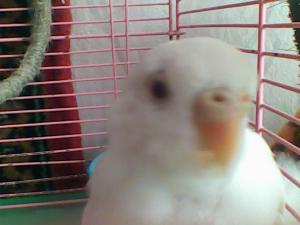 blog-28300-1298321406_thumb.jpg