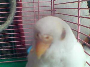 blog-28300-1298321433_thumb.jpg