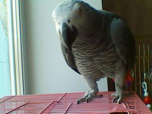 blog-28300-1298322058_thumb.jpg