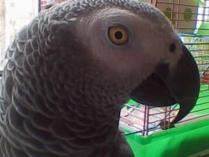 blog-28300-1298322119_thumb.jpg