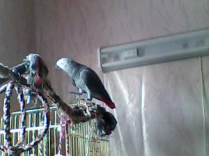 blog-28300-1298322168_thumb.jpg