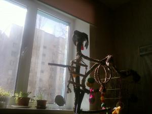 blog-28300-1299437605_thumb.jpg