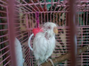 blog-28300-1299437764_thumb.jpg