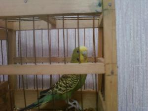 blog-28300-1301594658_thumb.jpg