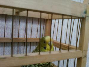 blog-28300-1301594668_thumb.jpg