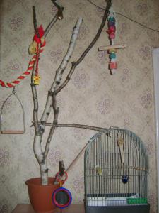 blog-29084-1316999916_thumb.jpg