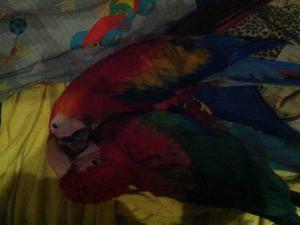 blog-29348-1349629088_thumb.jpg