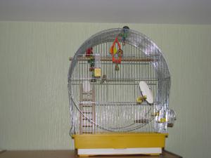 blog-31058-1287990023_thumb.jpg