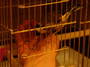 blog-31382-1299309639_thumb.jpg