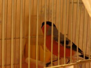 blog-31382-1299936735_thumb.jpg