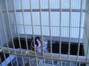 blog-31382-1303028691_thumb.jpg