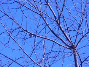 blog-31382-1305365613_thumb.jpg