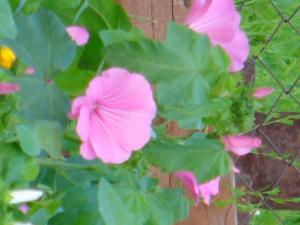 blog-31382-1314003756_thumb.jpg