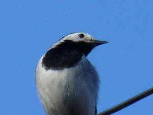 blog-31382-1314004410_thumb.jpg