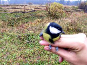 blog-31606-1318218399_thumb.jpg