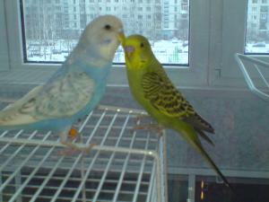 blog-31621-1293207826_thumb.jpg