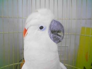 blog-3325-1129797205_thumb.jpg