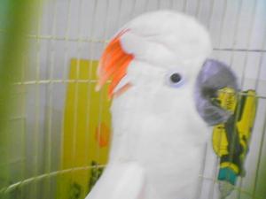 blog-3325-1129797567_thumb.jpg