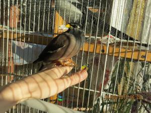 blog-35907-1368878650_thumb.jpg