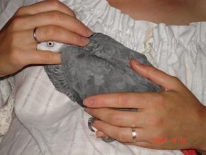 blog-3620-1206138831_thumb.jpg