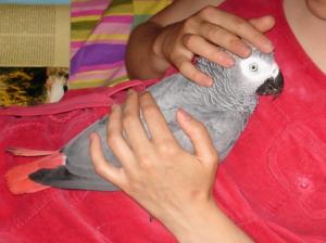 blog-3620-1206139843_thumb.jpg