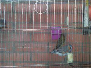 IMG_20120415_112652.jpg