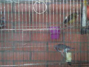IMG_20120415_112656.jpg