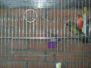 IMG_20120415_120420.jpg