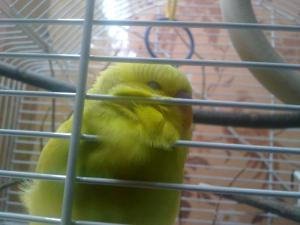 blog-38546-1323807332_thumb.jpg