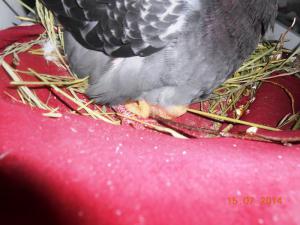 blog-44252-1409308909_thumb.jpg