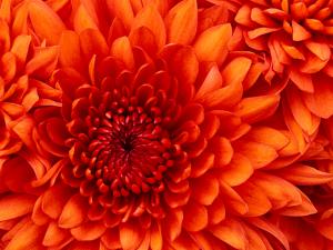 blog-4454-1313665877_thumb.jpg