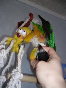 blog-4503-1238318570_thumb.jpg